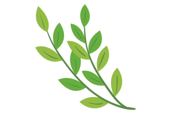Botanical Element. Decorative Green Bran: A Guide to Choosing and Using the Right Design Asset