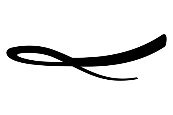 Calligraphic Stroke. Decorative Ink Brush