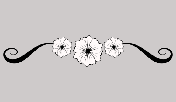 Enhance Your Designs with a Decorative Border Featuring White Flowers and Black Lines