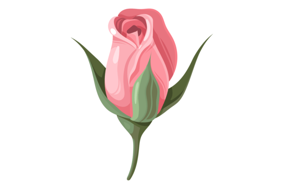 Pink Bud: A Versatile Decorative Floral Element for Garden Roses