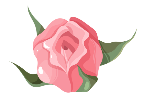 Pink Rose Decorative Element. Floral Rom: Strategic Use in Design and Branding