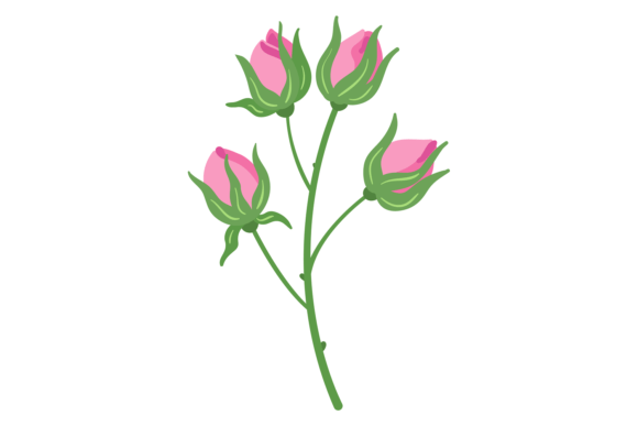 Rose Bud Branch as a Floral Decorative Element in Design and Aesthetics